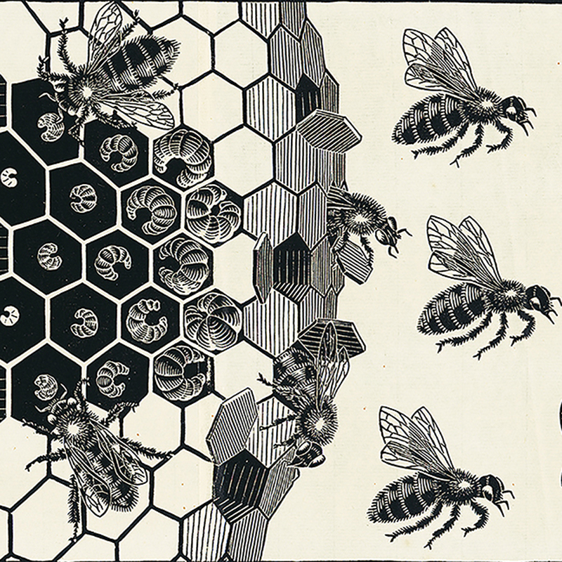 0636202
M.C. Escher
Metamorphose II