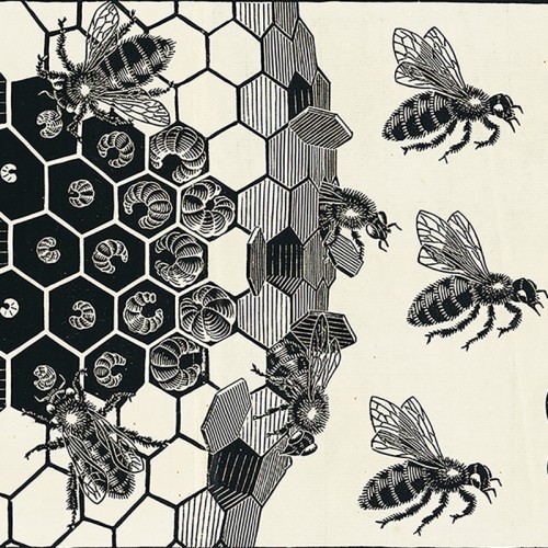 0636202
M.C. Escher 
Metamorphose II