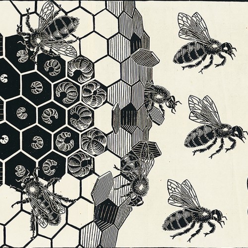 0636202
M.C. Escher
Metamorphose II